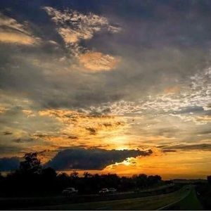 Meet your Posher, Betsy